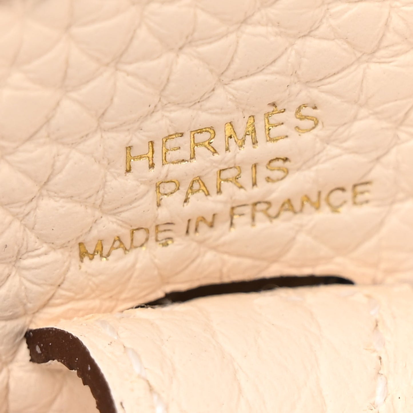 Taurillon Clemence Evelyne TPM Nata