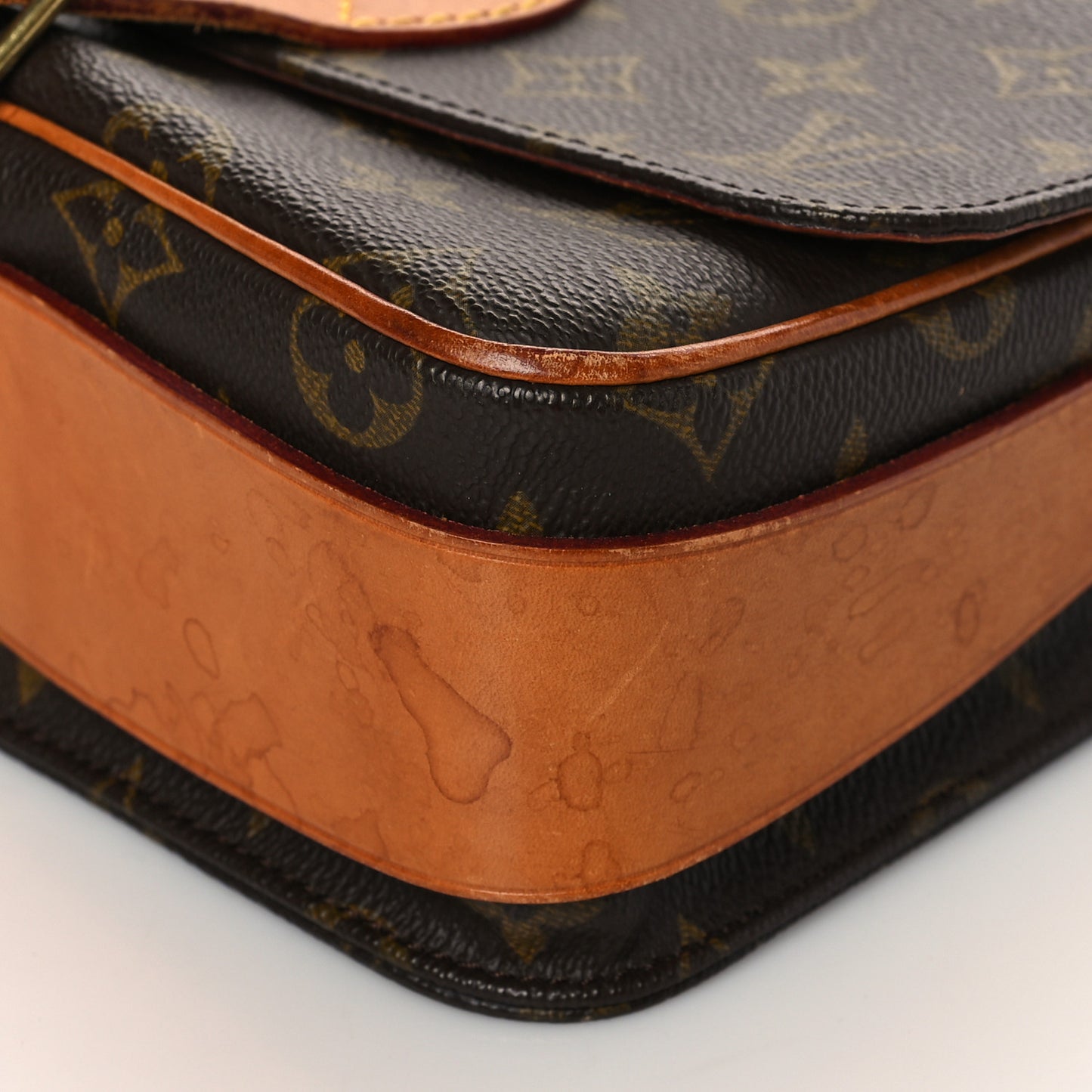 Monogram Cartouchiere 22