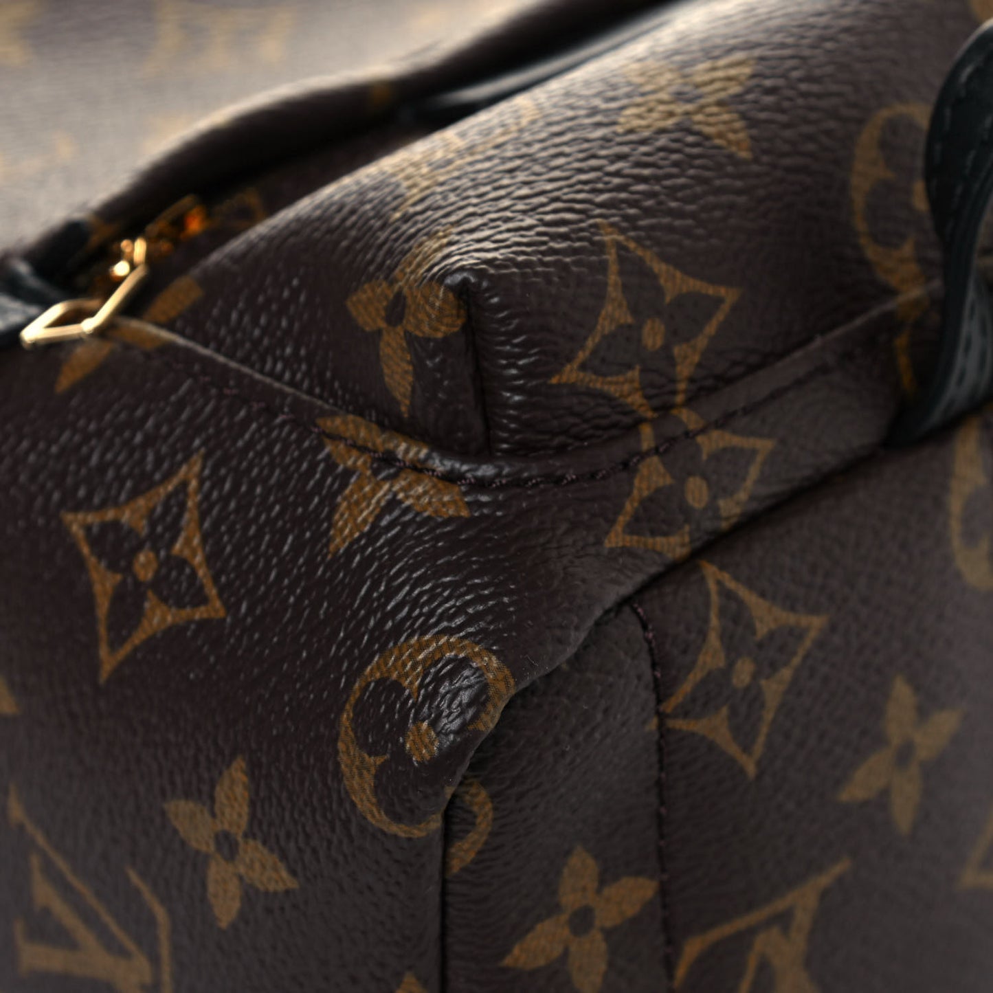Monogram Palm Springs Backpack Mini