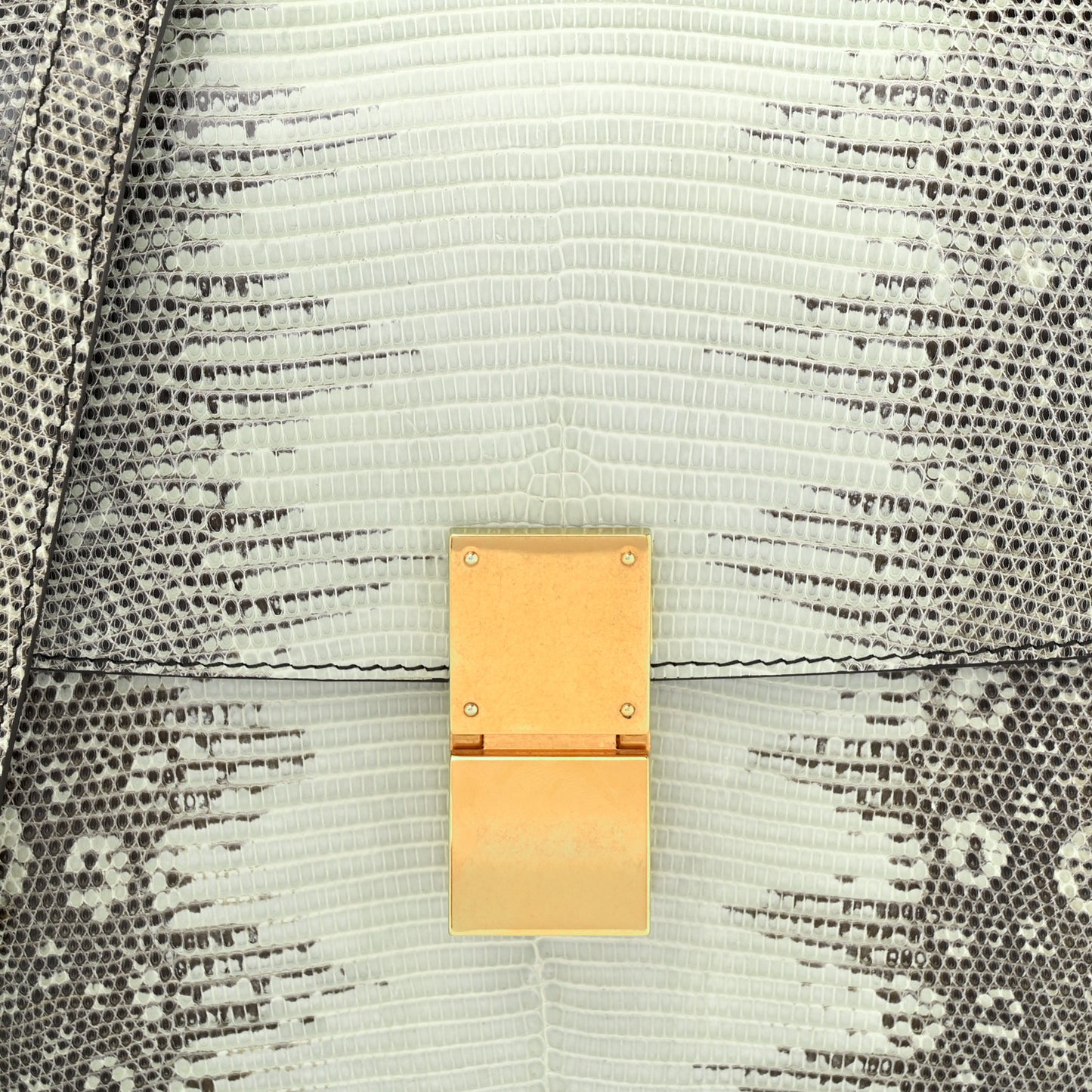 Lizard Medium Classic Box Flap Bag Mineral