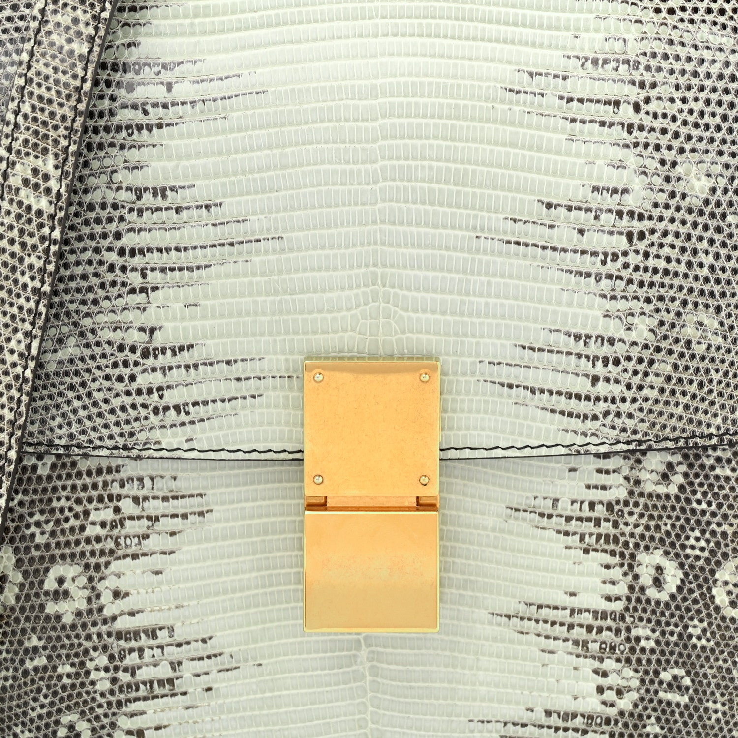 Celine Lizard Medium Classic Box Flap Bag Mineral 7 of 12