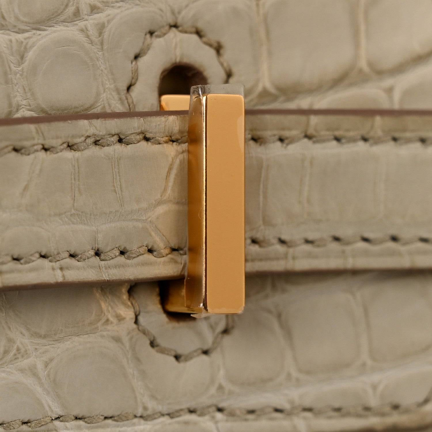 Hermes Matte Alligator Birkin 25 Beton 16 of 22