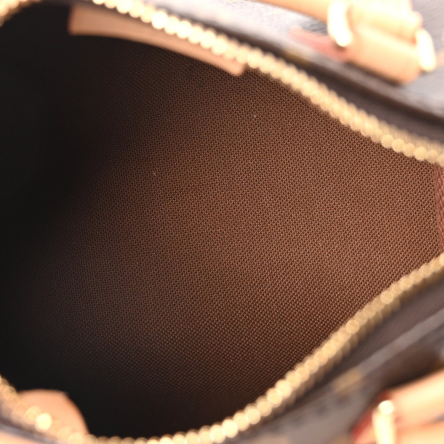 Monogram Nano Speedy