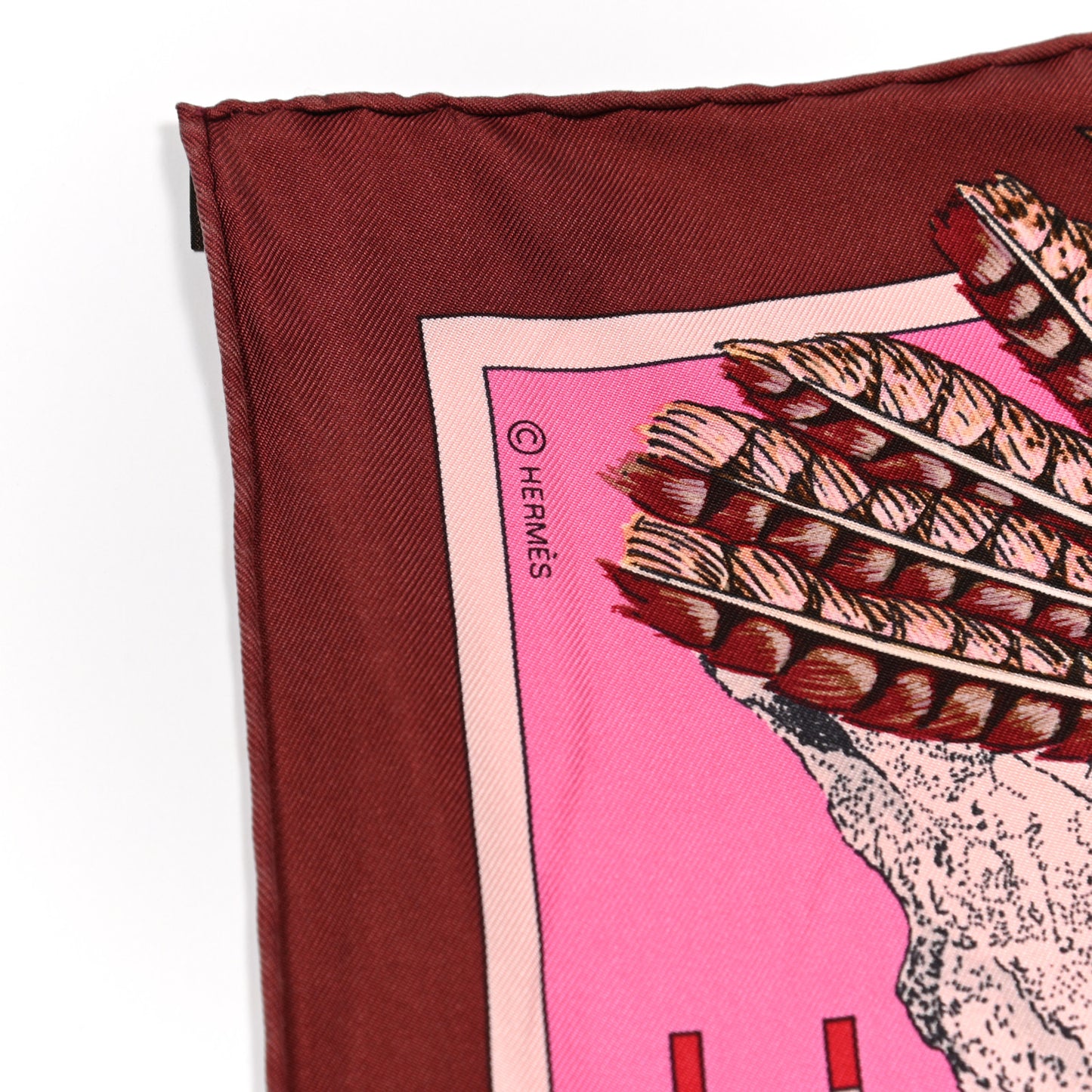 Silk Pani La Shar Pawnee Scarf 90