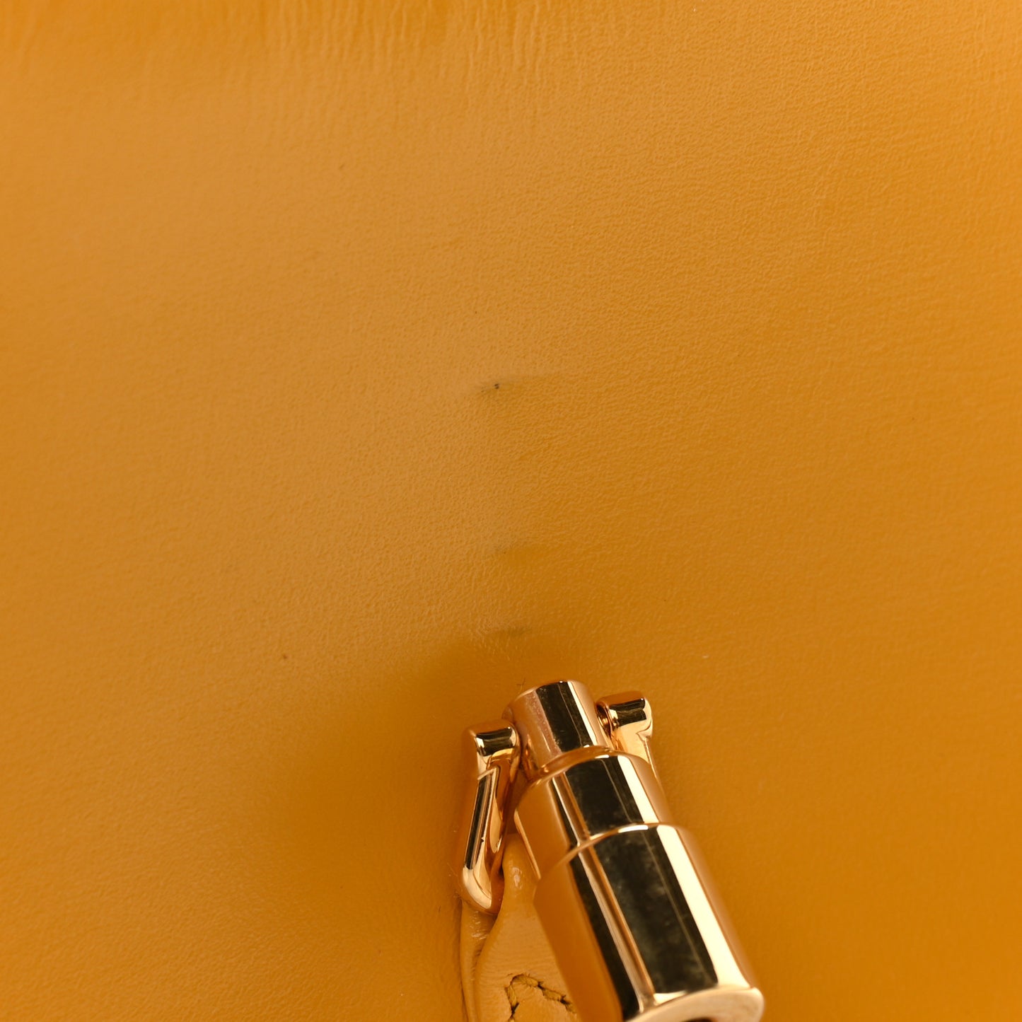 Boarded Dyana Lux Calfskin Mini Jackie 1961 Hobo Crop