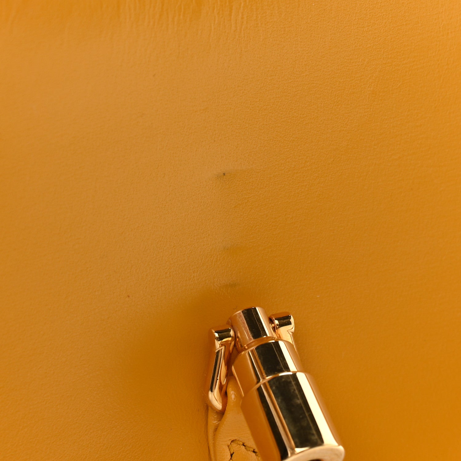 Gucci Boarded Dyana Lux Calfskin Mini Jackie 1961 Hobo Crop 8 of 11