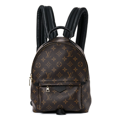 Louis Vuitton Monogram Palm Springs Backpack PM 1 of 12