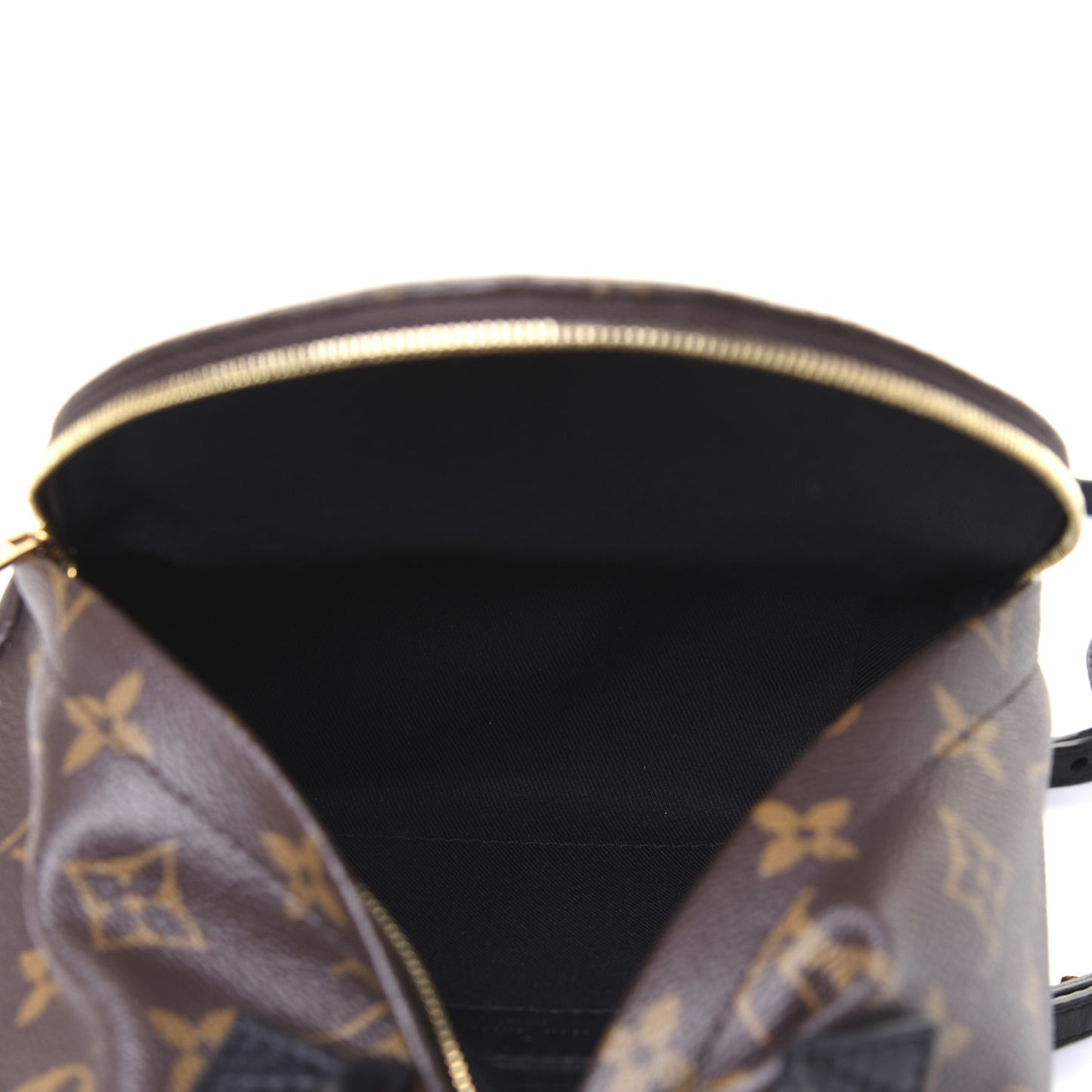 Monogram Palm Springs Backpack Mini