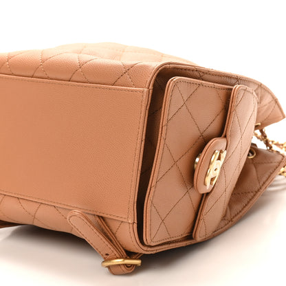 Chanel Caviar Quilted Medium Chanel 25 Backpack Brown 10 of 11