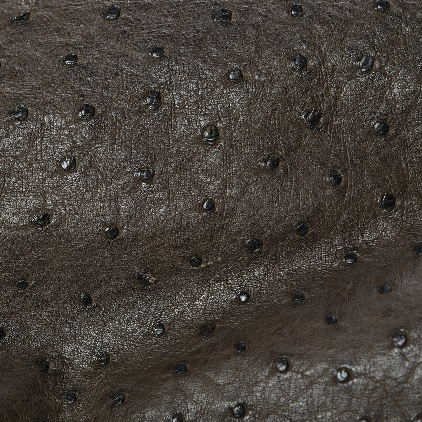 Ostrich Medium 1973 Top Handle Satchel Brown