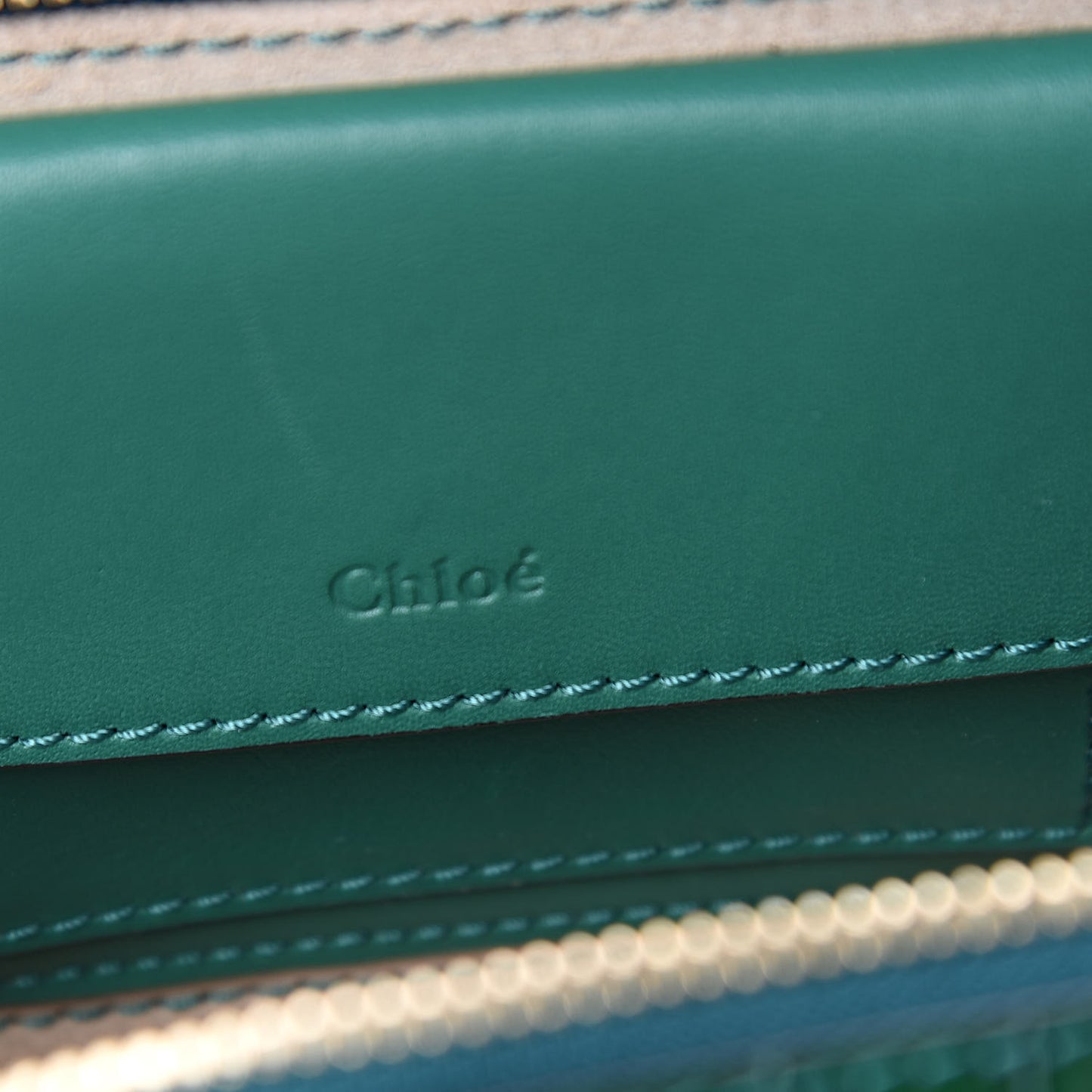 Calfskin Crocodile Embossed Mini C Vanity Bag Woodsy Green