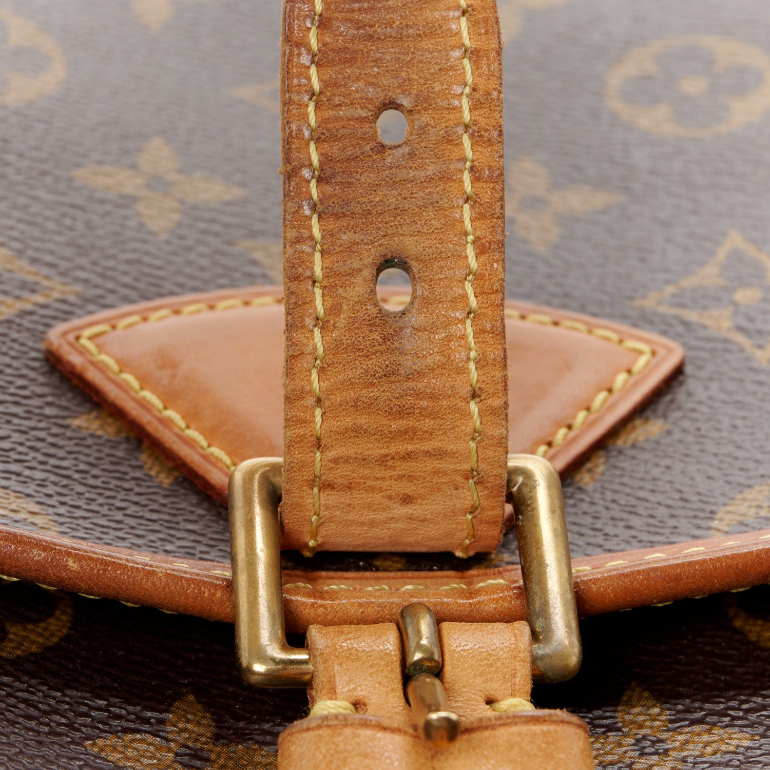 Louis Vuitton Monogram Sologne 11 of 14