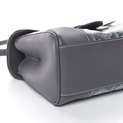 Goyard Goyardine Mini Saigon Grey 7 of 9