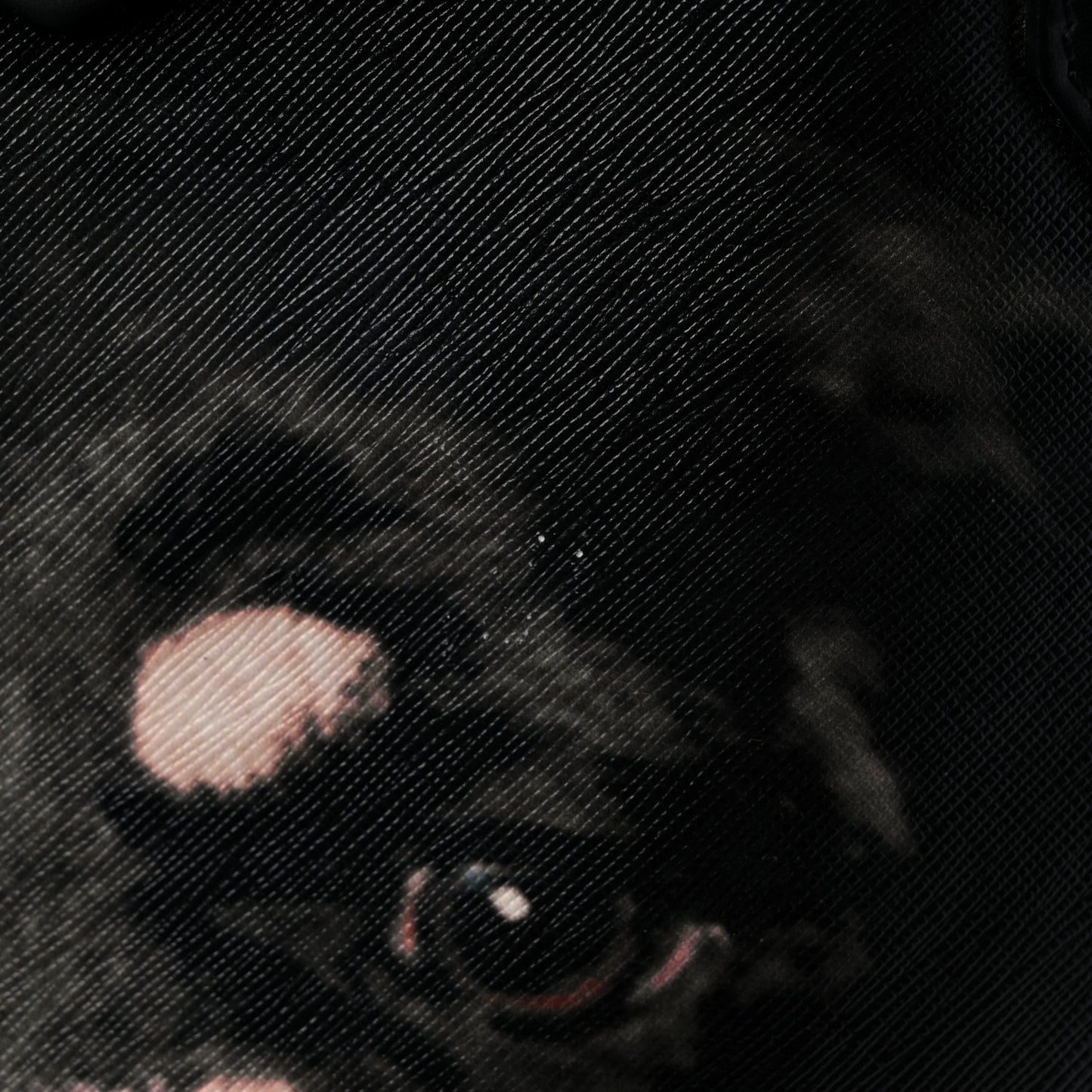 Textured Coated Canvas Rottweiler Print Large Antigona Tote Black