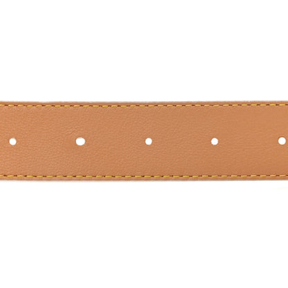 Louis Vuitton Monogram Giant By The Pool 30mm LV Iconic Reversible Belt 90 36 Brume 4 of 7