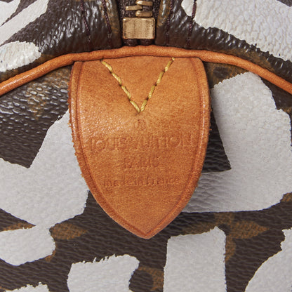 Louis Vuitton Monogram Graffiti Speedy 30 Silver 8 of 10