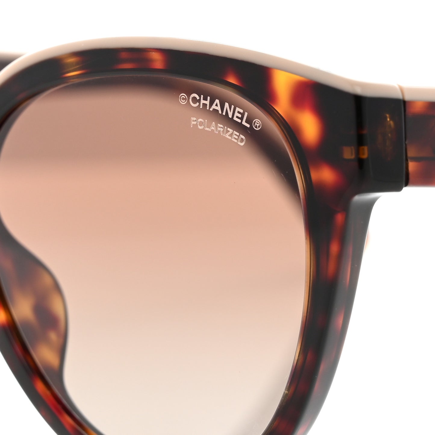 Acetate CC Butterfly Sunglasses 5414-A Tortoise
