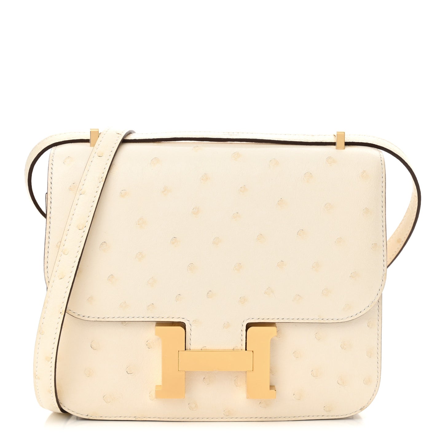 Ostrich Constance 18 Nata