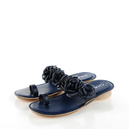 Chanel Lambskin Camellia Sandals 35 Dark Navy 2 of 8