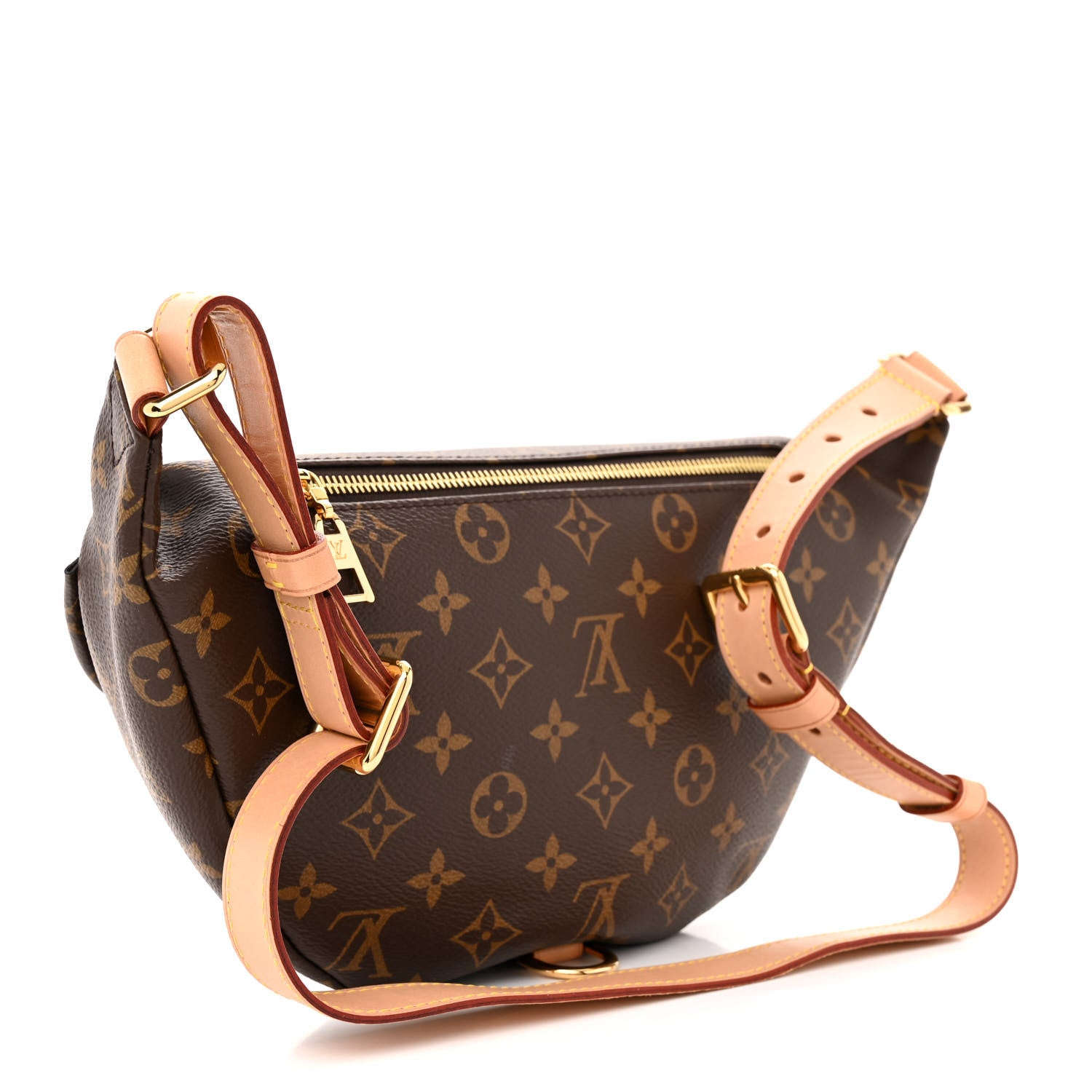 Louis Vuitton LOUIS VUITTON Monogram Bumbag 3 of 11