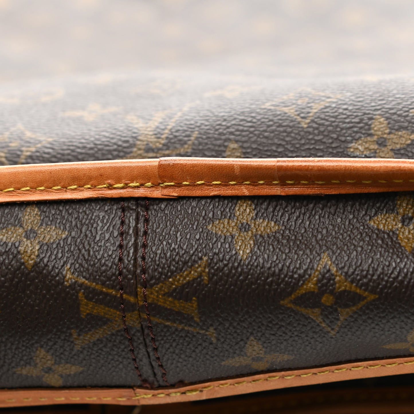 Monogram Garment Bag