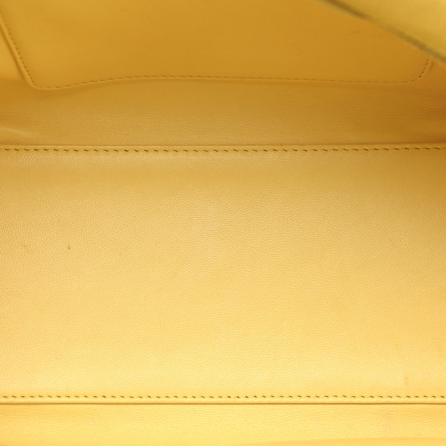 Loewe Calfskin Amazona 28 Yellow 5 of 12
