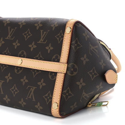 Louis Vuitton Monogram Marais BB 12 of 12
