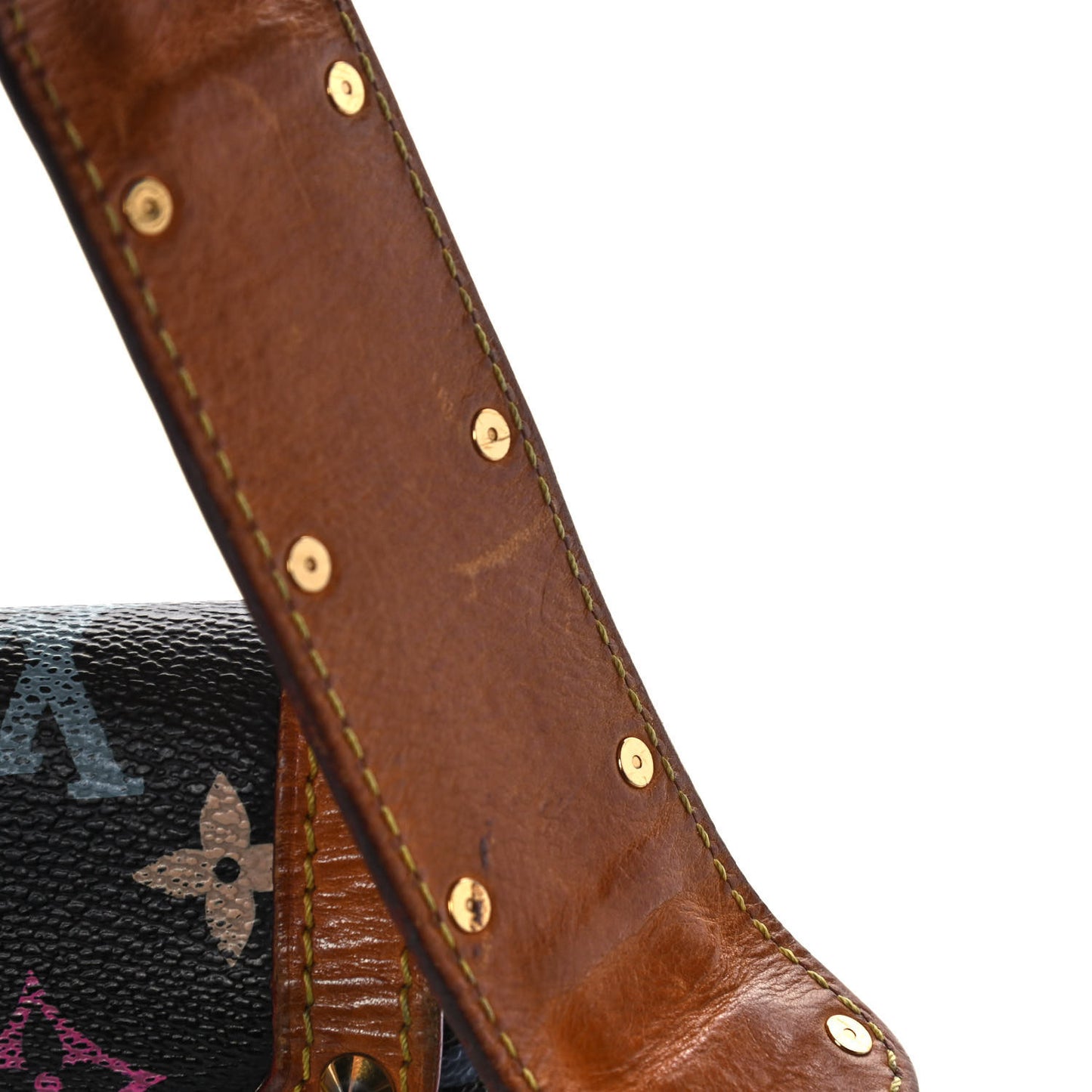 Monogram Multicolor Sologne Black