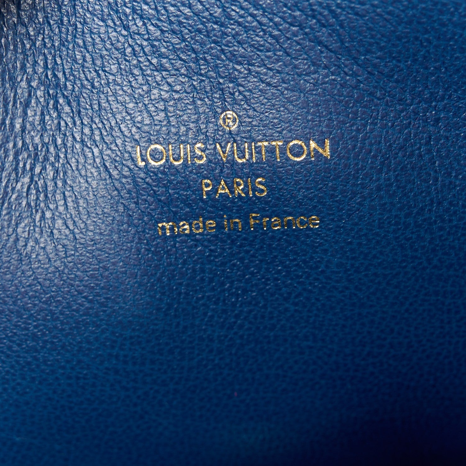 Louis Vuitton Lambskin Embossed Monogram Coussin PM Taupe 8 of 11