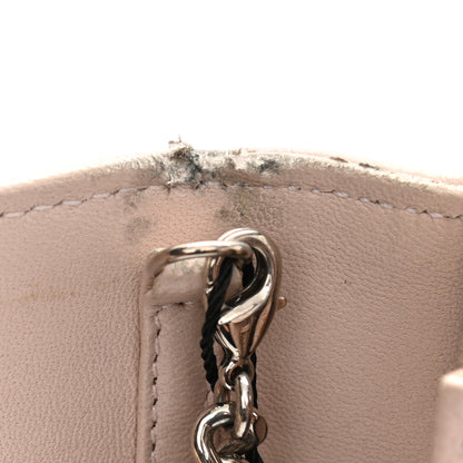 Christian Dior Grained Calfskin Diorama Wallet on Chain Pouch Rose Poudre 14 of 14
