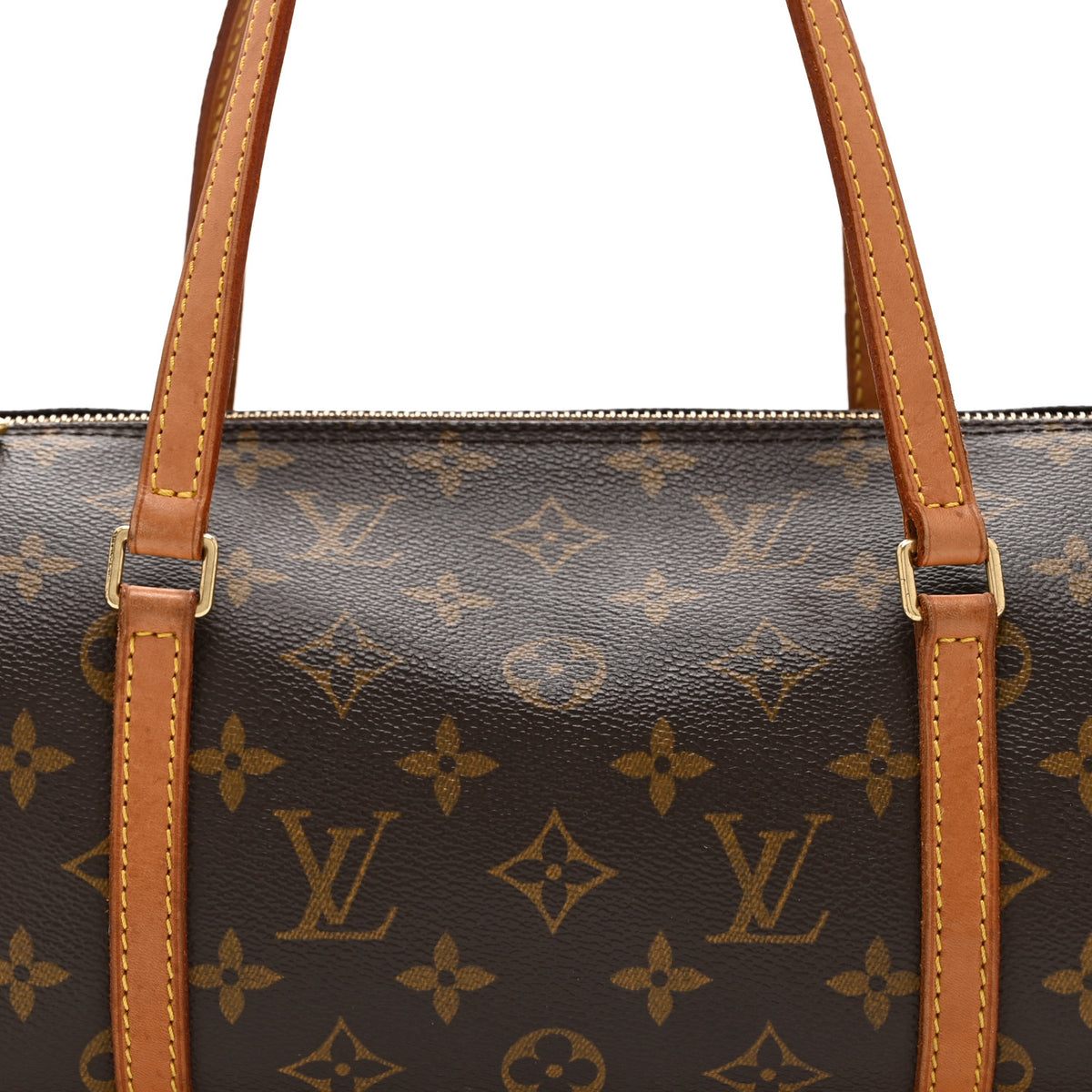 Monogram Papillon 30 with Companion