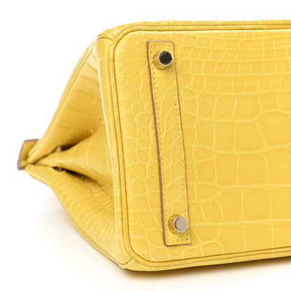 Hermes Matte Alligator Birkin 30 Mimosa 5 of 11
