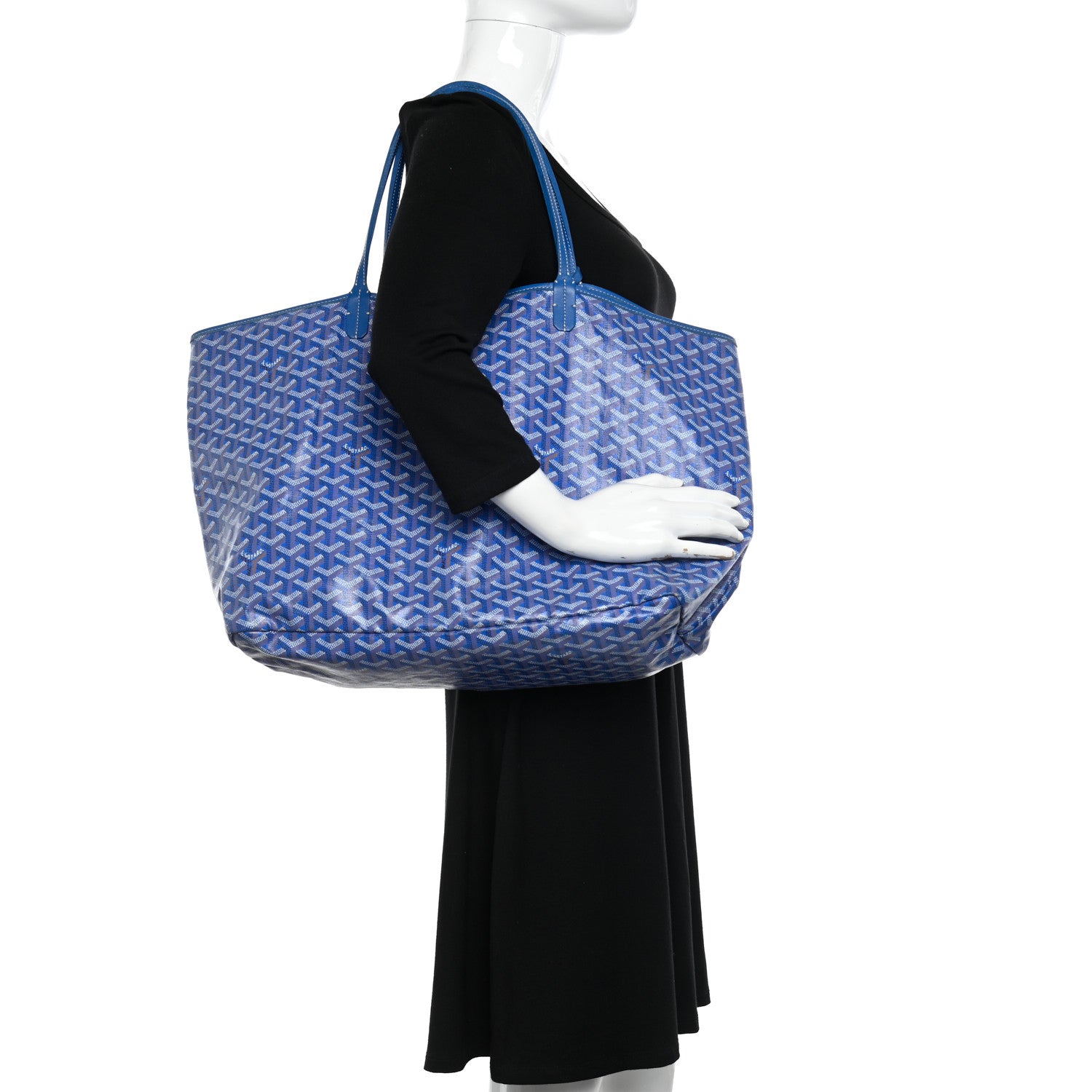 Goyard Goyardine Saint Louis PM Sky Blue 2 of 10