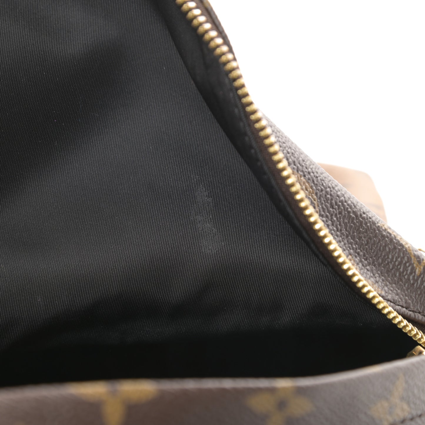 Reverse Monogram Palm Springs Backpack PM