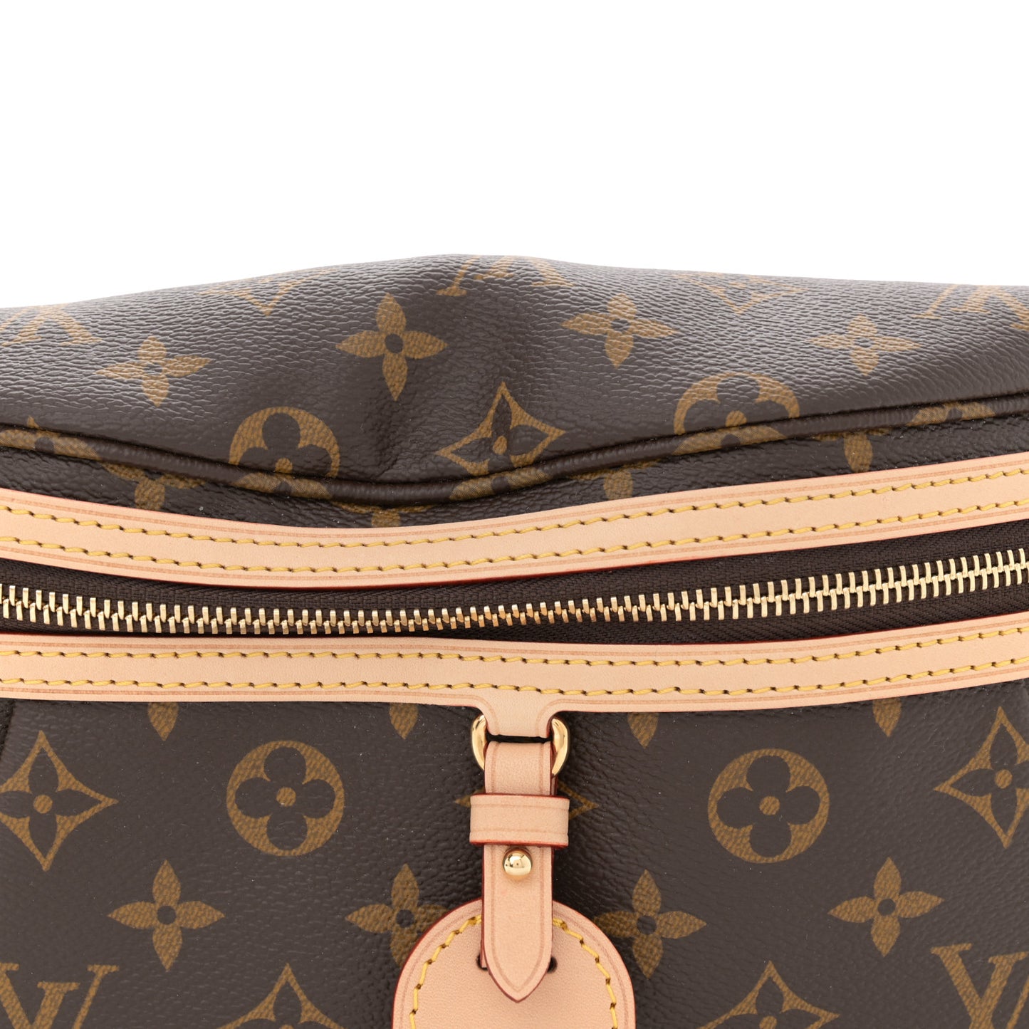 Monogram High Rise Bumbag