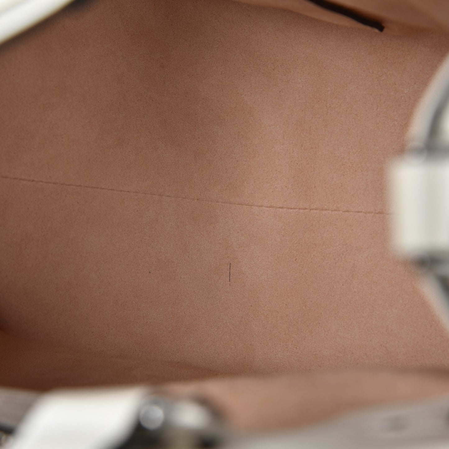 Calfskin Web Stripe Medium Dionysus Tote Bag White