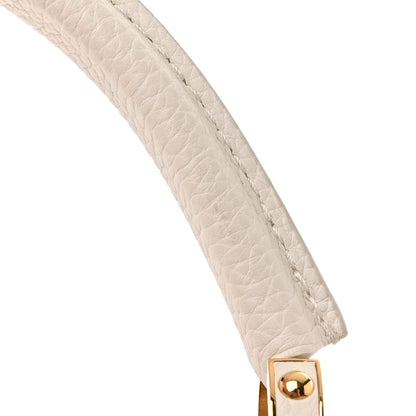 Louis Vuitton Taurillon Artycapucines Henry Taylor MM Snow 12 of 12