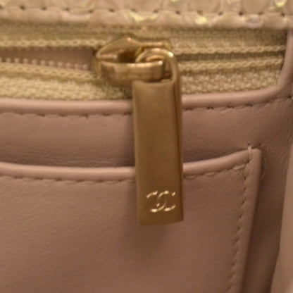 Chanel Iridescent Python Mini Flap 9 of 11