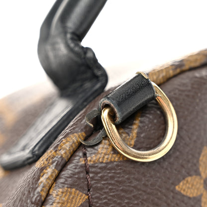 Louis Vuitton Monogram Palm Springs Backpack Mini 11 of 12