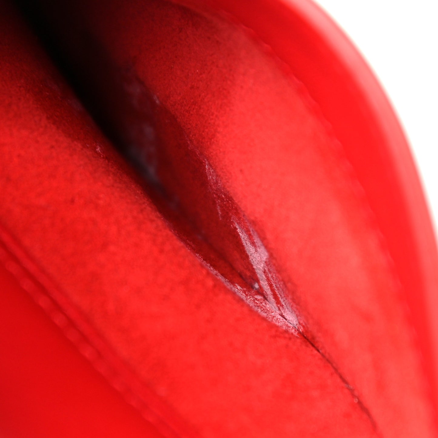 Ultra Matte Calfskin Mini Saddle Bag Red