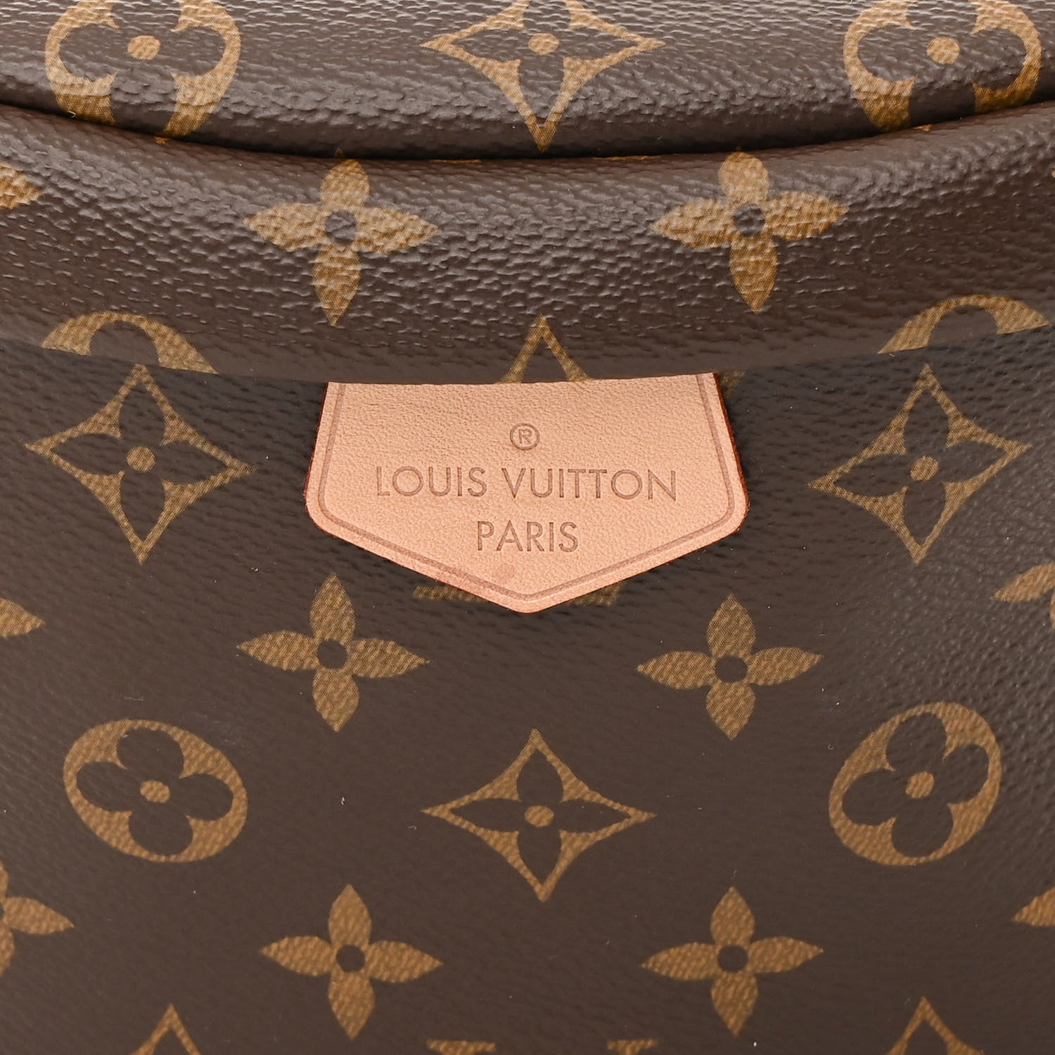 Louis Vuitton Monogram Bumbag 7 of 9
