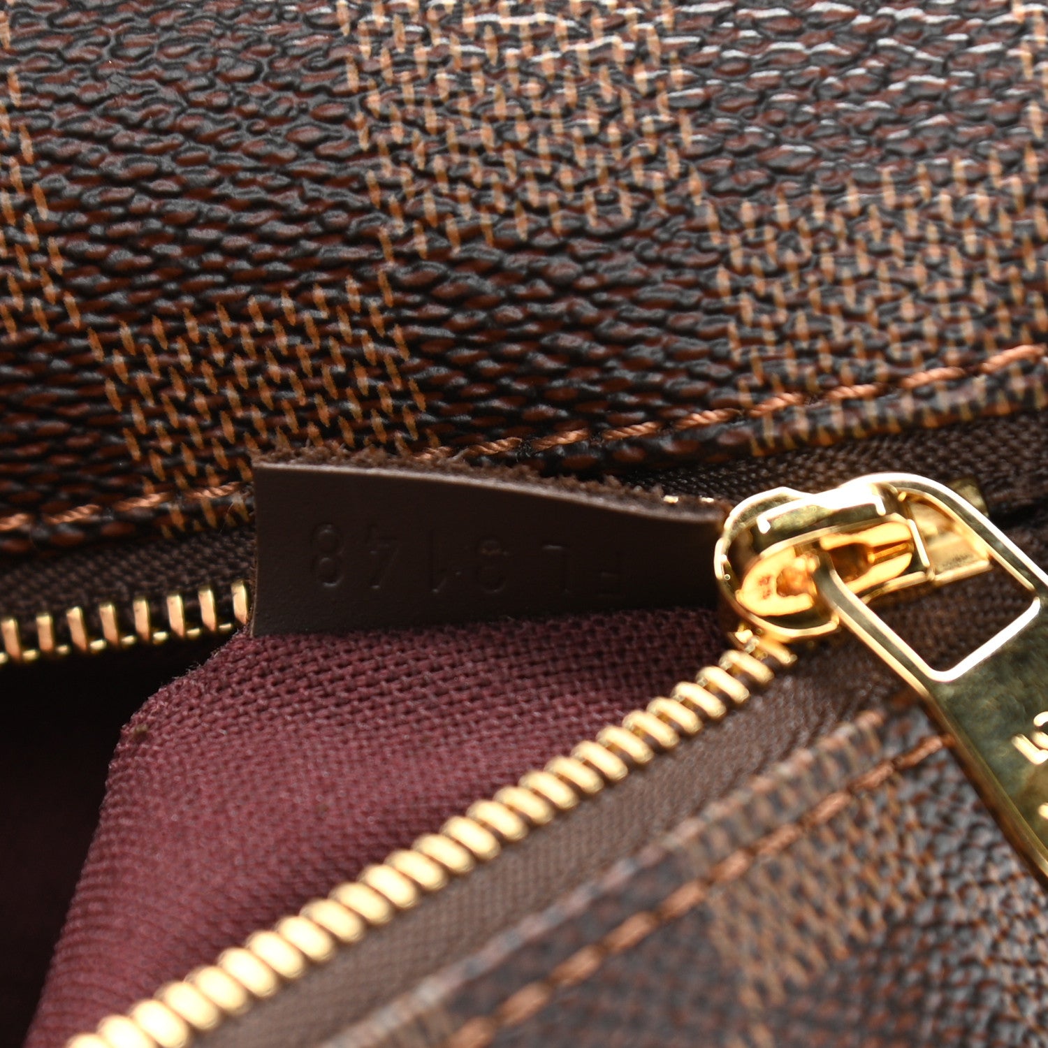 Louis Vuitton Damier Ebene Iena MM 8 of 11