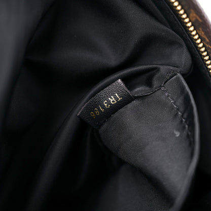 Louis Vuitton Monogram Palm Springs Backpack PM 7 of 14