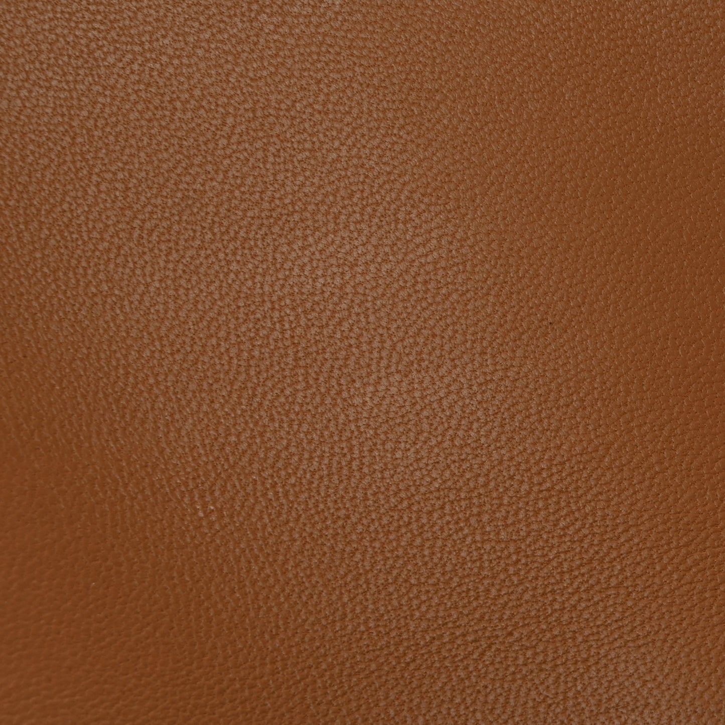 Tadelakt Constance Short Wallet Gold