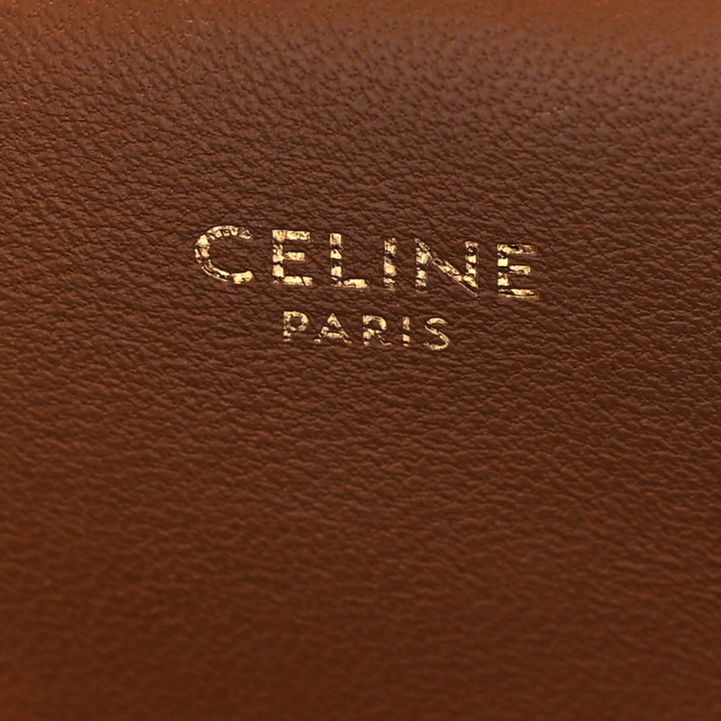 Calfskin Triomphe Canvas Teen Triomphe Bag Tan