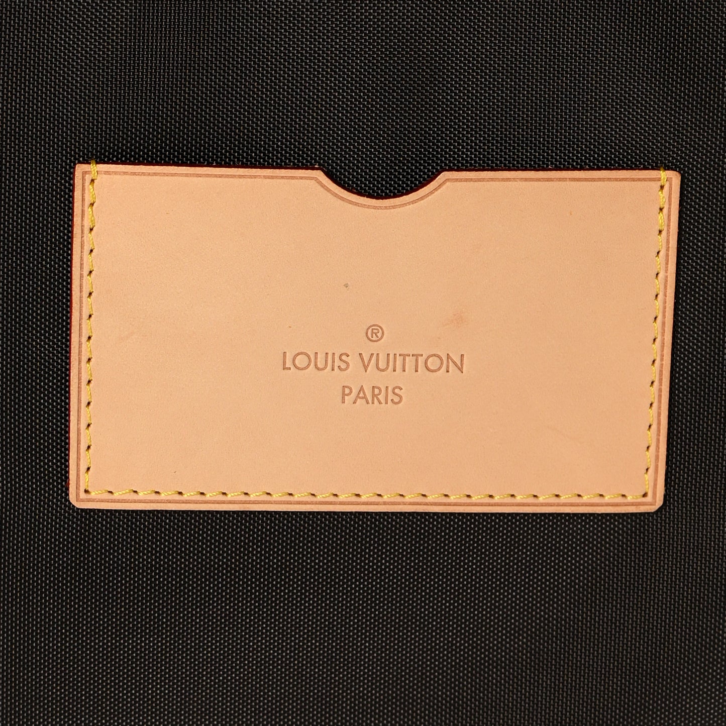 Monogram Pegase 50 Business