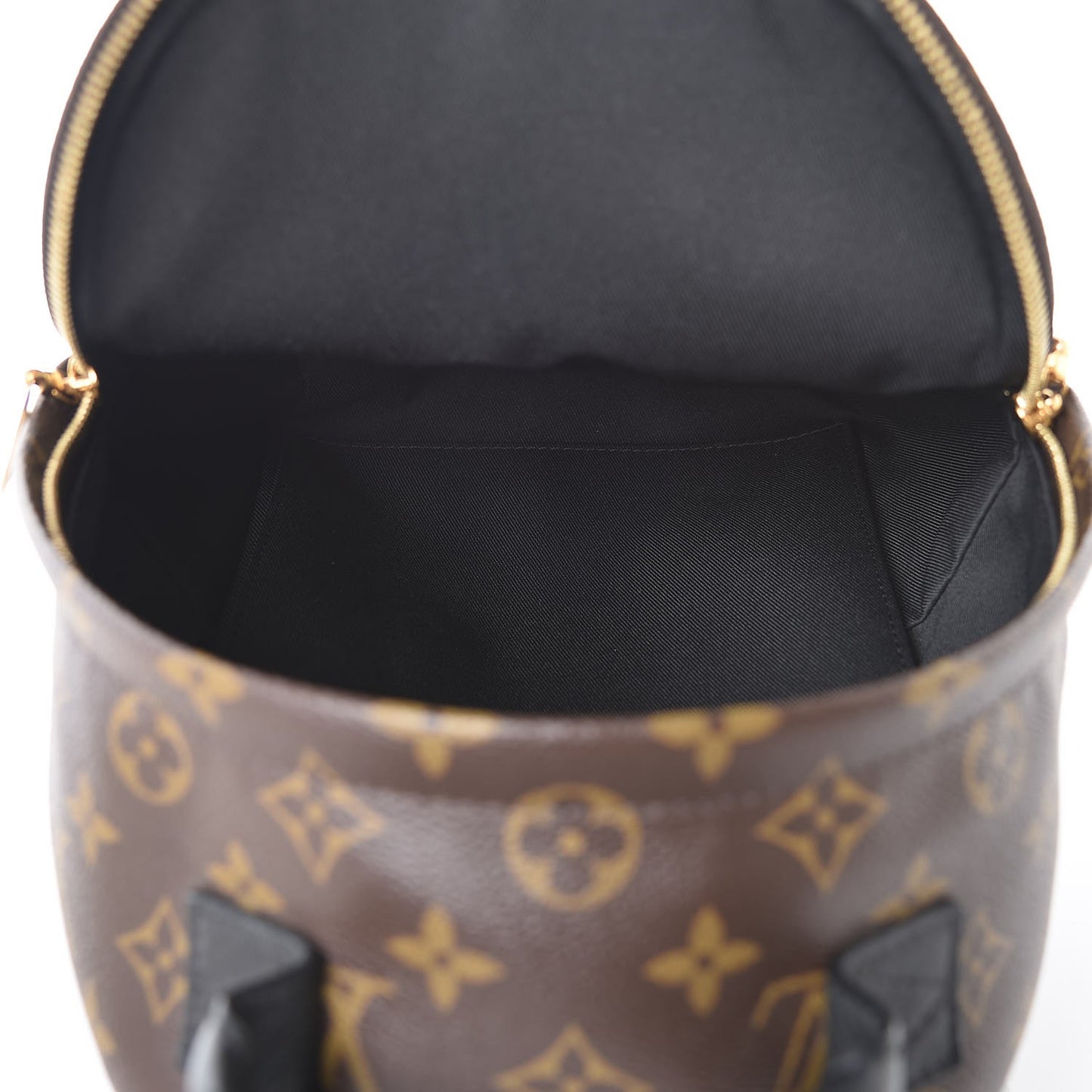 Monogram Palm Springs Backpack PM