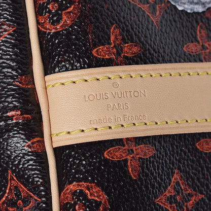Louis Vuitton Catogram Speedy Bandouliere 30 Marron 7 of 11