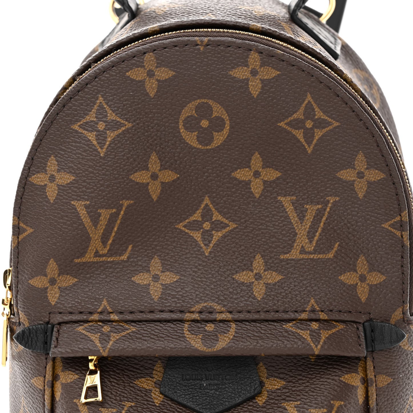 Monogram Palm Springs Backpack Mini