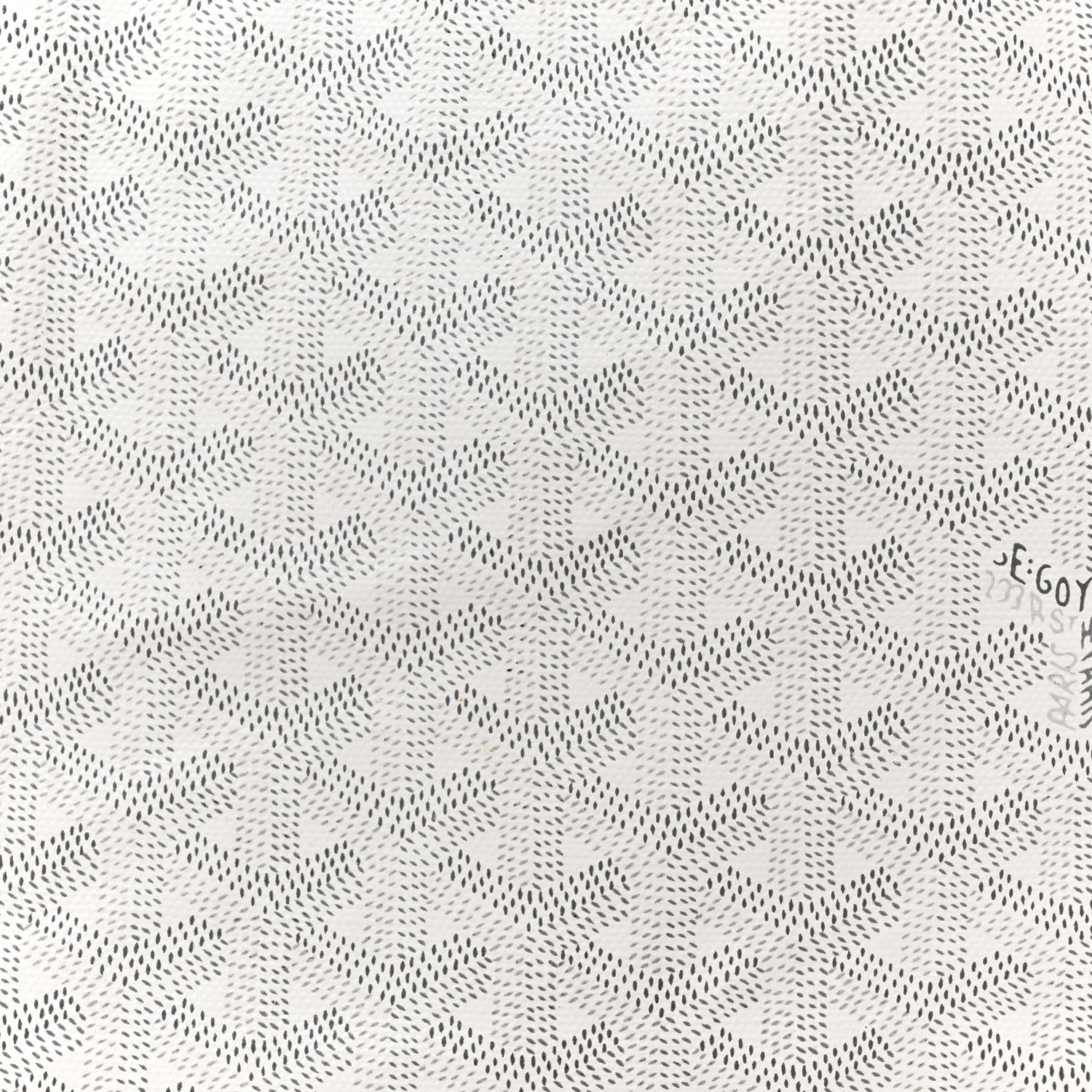 Goyard Goyardine Saint Louis PM White 10 of 20